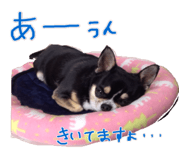 I am Lil. (Answer2) sticker #14150674