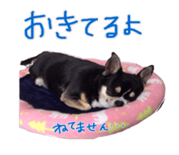 I am Lil. (Answer2) sticker #14150675