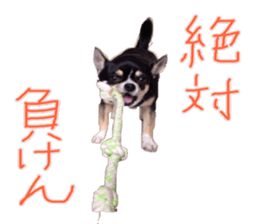 I am Lil. (Answer2) sticker #14150676