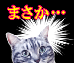 High tension and cool cats Ver.Winter sticker #14151550