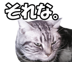 High tension and cool cats Ver.Winter sticker #14151554