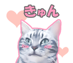 High tension and cool cats Ver.Winter sticker #14151557