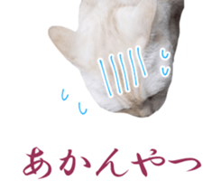 High tension and cool cats Ver.Winter sticker #14151571