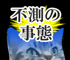 High tension and cool cats Ver.Winter sticker #14151572