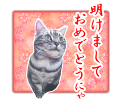 High tension and cool cats Ver.Winter sticker #14151574