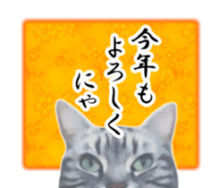 High tension and cool cats Ver.Winter sticker #14151575