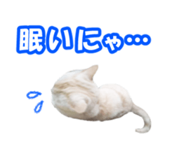 High tension and cool cats Ver.Winter sticker #14151577