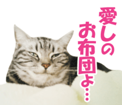 High tension and cool cats Ver.Winter sticker #14151579