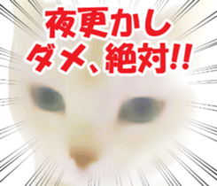 High tension and cool cats Ver.Winter sticker #14151580