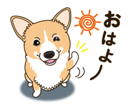 A sticker willingly. Welsh Corgi Winter sticker #14153270