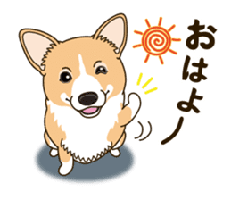 A sticker willingly. Welsh Corgi Winter sticker #14153270