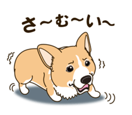 A sticker willingly. Welsh Corgi Winter sticker #14153272