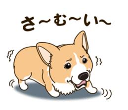 A sticker willingly. Welsh Corgi Winter sticker #14153272