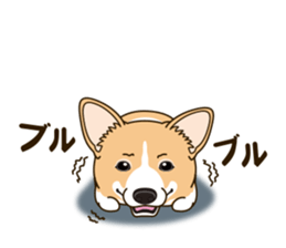 A sticker willingly. Welsh Corgi Winter sticker #14153273