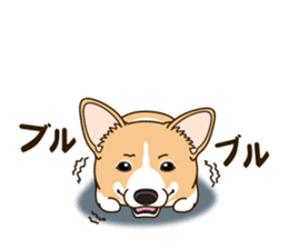 A sticker willingly. Welsh Corgi Winter sticker #14153273