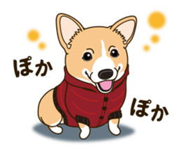 A sticker willingly. Welsh Corgi Winter sticker #14153274