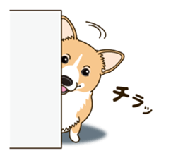 A sticker willingly. Welsh Corgi Winter sticker #14153278