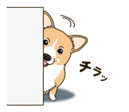 A sticker willingly. Welsh Corgi Winter sticker #14153278