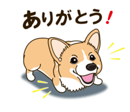 A sticker willingly. Welsh Corgi Winter sticker #14153282
