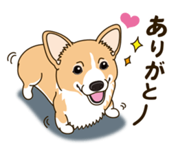 A sticker willingly. Welsh Corgi Winter sticker #14153283