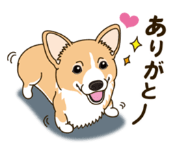 A sticker willingly. Welsh Corgi Winter sticker #14153283