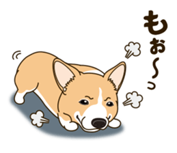 A sticker willingly. Welsh Corgi Winter sticker #14153285