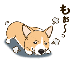 A sticker willingly. Welsh Corgi Winter sticker #14153285