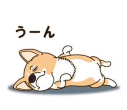 A sticker willingly. Welsh Corgi Winter sticker #14153286