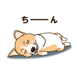 A sticker willingly. Welsh Corgi Winter sticker #14153287