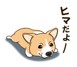 A sticker willingly. Welsh Corgi Winter sticker #14153288