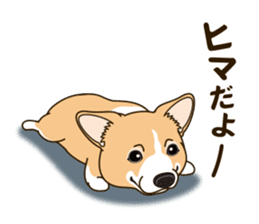 A sticker willingly. Welsh Corgi Winter sticker #14153288