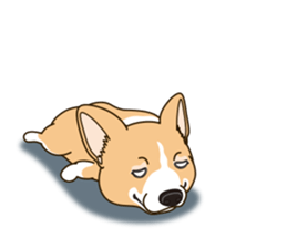 A sticker willingly. Welsh Corgi Winter sticker #14153289