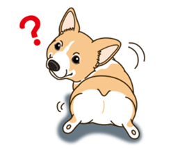 A sticker willingly. Welsh Corgi Winter sticker #14153291
