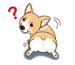 A sticker willingly. Welsh Corgi Winter sticker #14153291