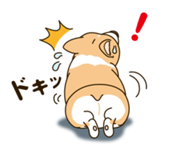 A sticker willingly. Welsh Corgi Winter sticker #14153292