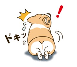 A sticker willingly. Welsh Corgi Winter sticker #14153292