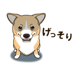 A sticker willingly. Welsh Corgi Winter sticker #14153296