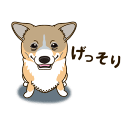 A sticker willingly. Welsh Corgi Winter sticker #14153296