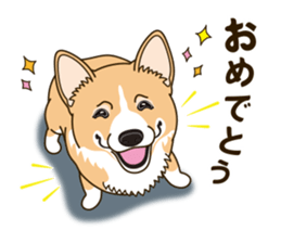 A sticker willingly. Welsh Corgi Winter sticker #14153298