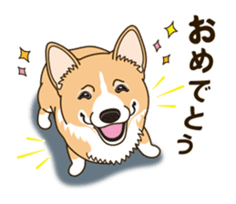 A sticker willingly. Welsh Corgi Winter sticker #14153298