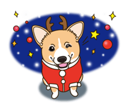 A sticker willingly. Welsh Corgi Winter sticker #14153307