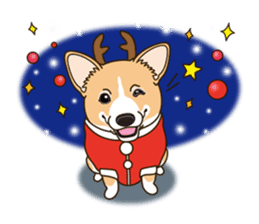 A sticker willingly. Welsh Corgi Winter sticker #14153307