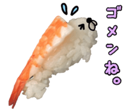 sushi & seal 4 sticker #14153773