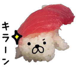 sushi & seal 4 sticker #14153777