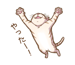 Cat "Poohchan" sticker #14153872