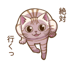 Cat "Poohchan" sticker #14153875