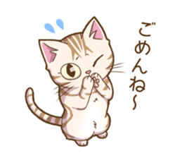 Cat "Poohchan" sticker #14153878