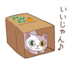 Cat "Poohchan" sticker #14153880