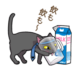 Cat "Poohchan" sticker #14153885