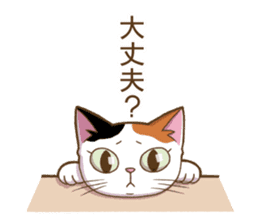 Cat "Poohchan" sticker #14153888